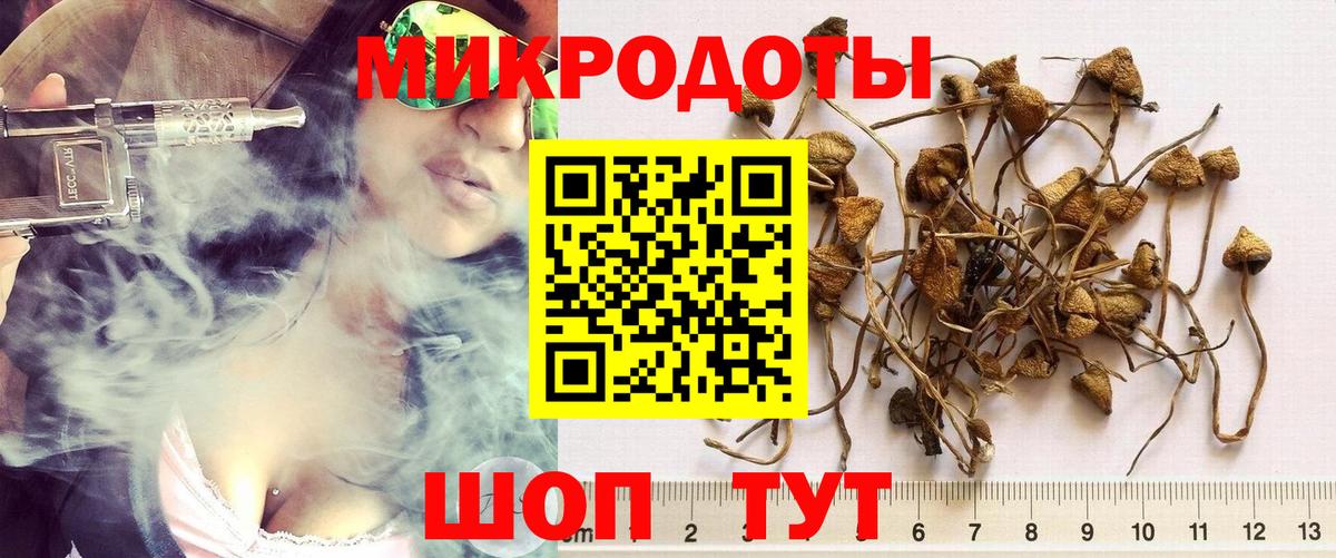 Псилоцибиновые грибы GOLDEN TEACHER Губкинский